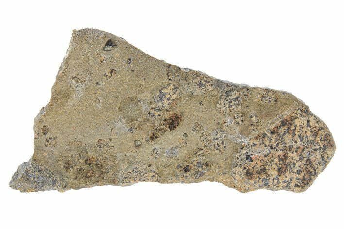 Eucrite Meteorite Slice ( g) - Jikharra #296015